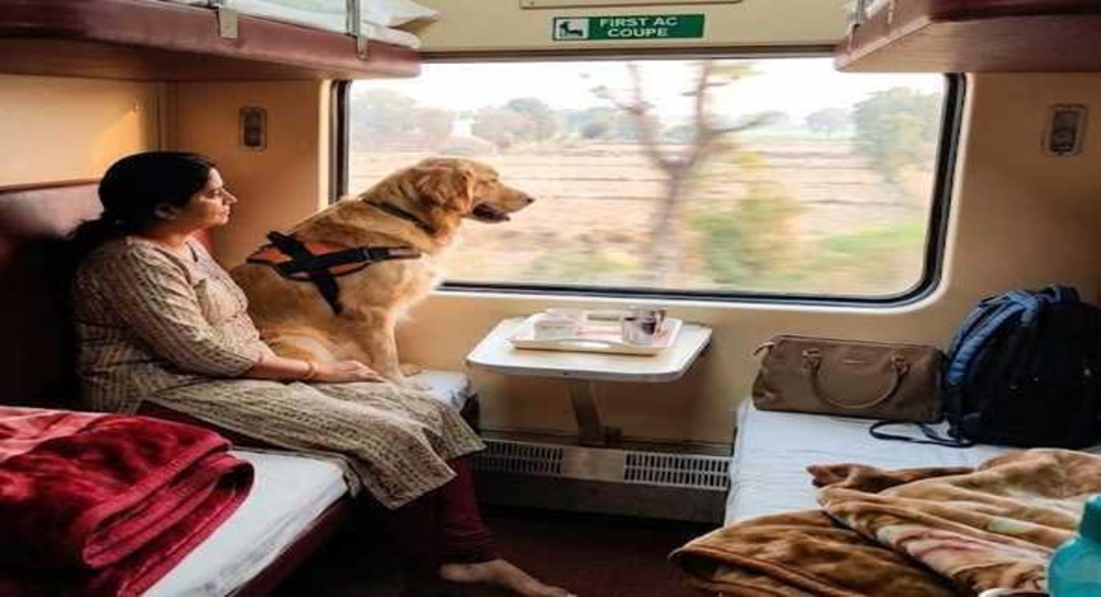 Pet travel in Indian Railways with dog and owner inside train compartment
