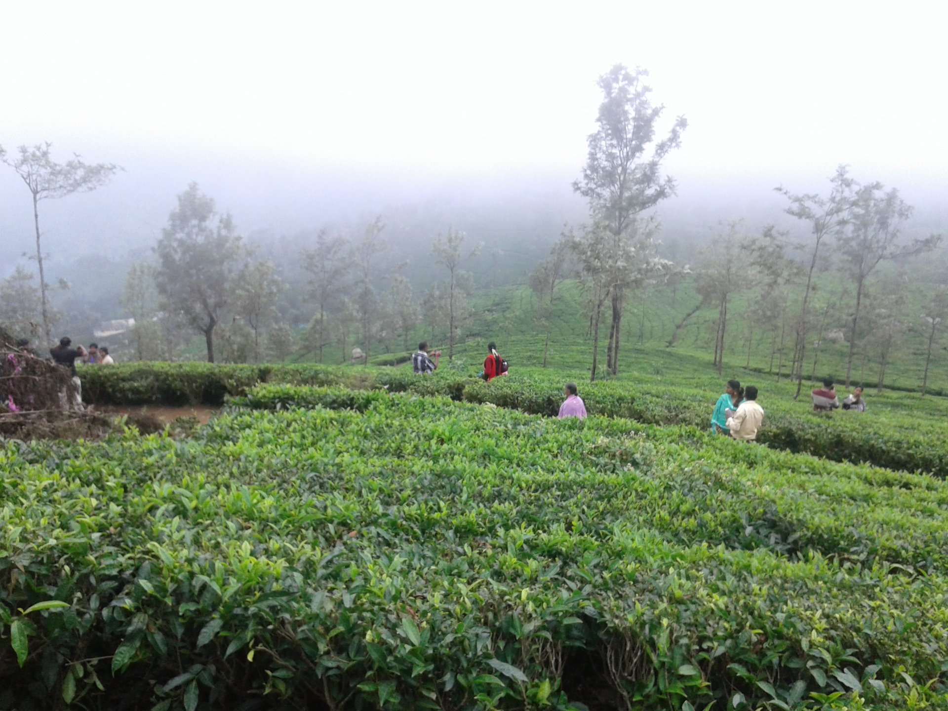 82508536 106727294208095 3986640407093051392 n